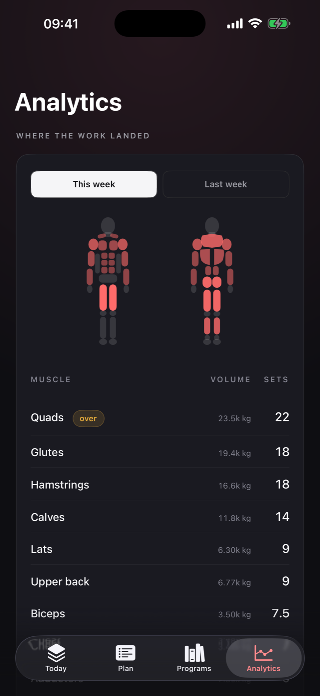 Weekly volume per muscle, with an anatomy map lit by how much work each muscle took.